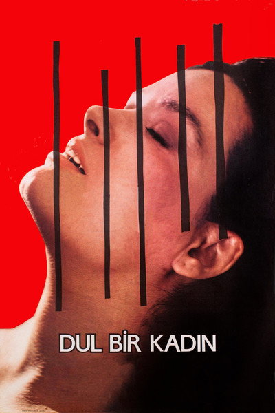 Póster de Dul Bir Kadin