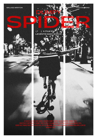 Póster de Dumpy Spider