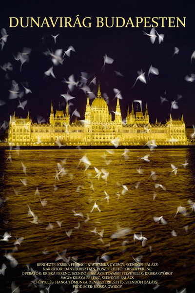 Póster de Dunavirág Budapesten