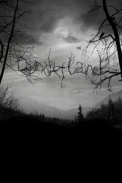Póster de Dunderland