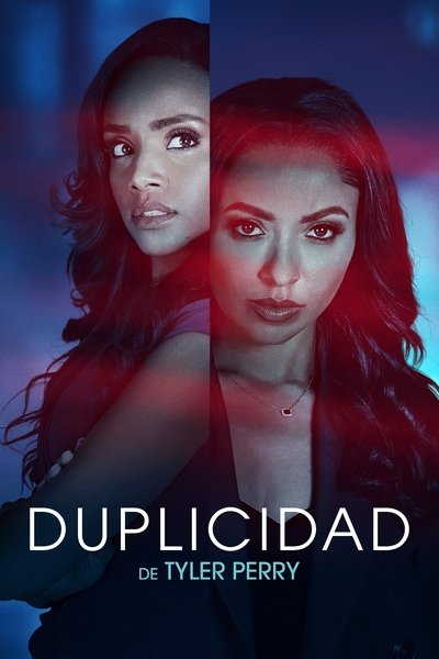Póster de Duplicidad