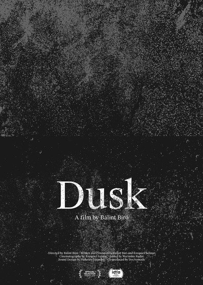 Póster de Dusk