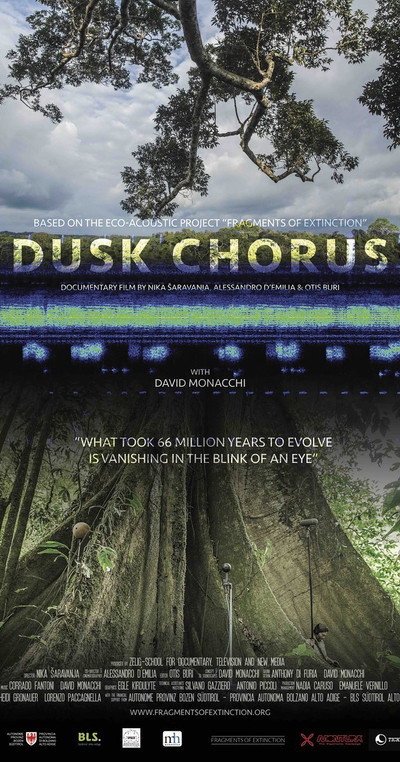 Póster de Dusk Chorus