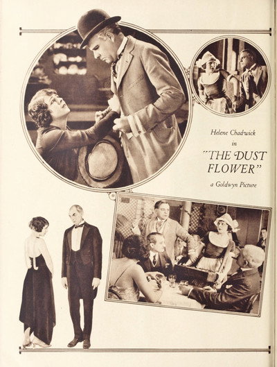 Póster de Dust Flower