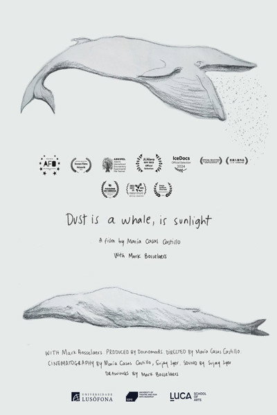 Póster de Dust is a Whale, is Sunlight