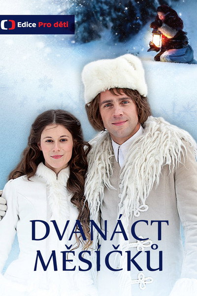 Póster de Dvanáct mesícku