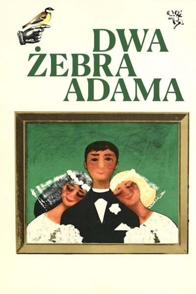 Póster de Dwa zebra Adama