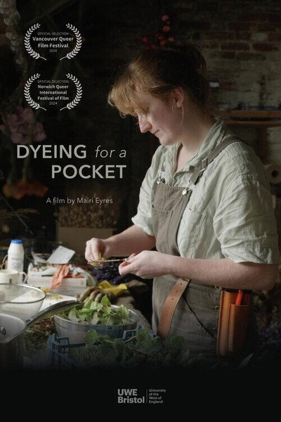 Póster de Dyeing for a Pocket