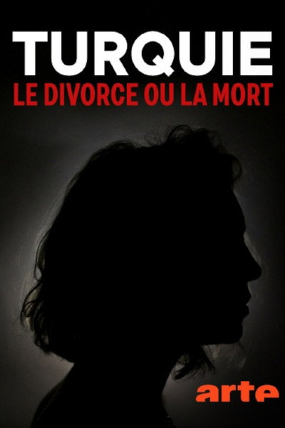 Póster de Dying to Divorce