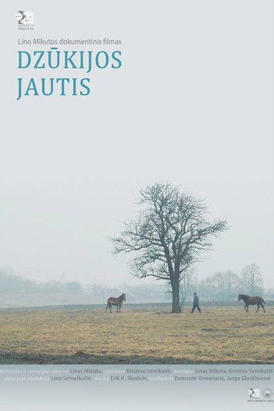 Póster de Dzukijos jautis