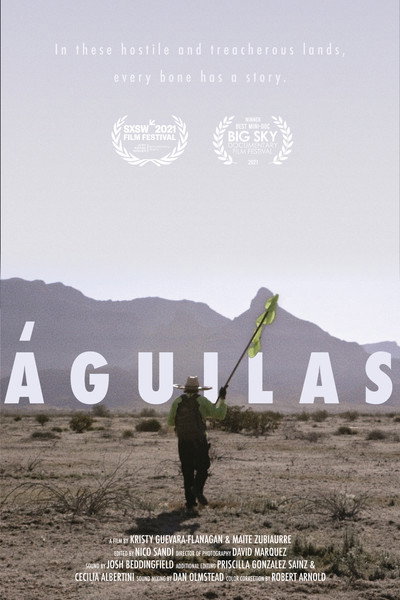 Póster de Eagles