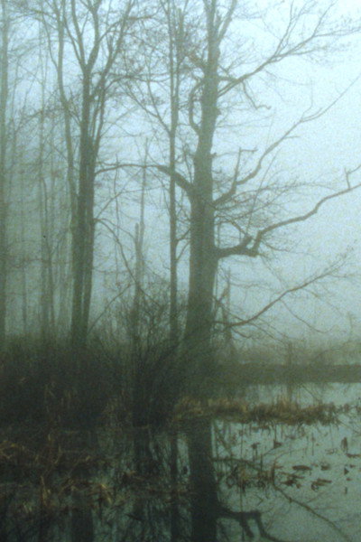Póster de Early Spring Wetlands