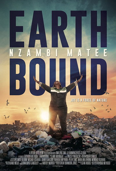 Póster de Earthbound: Nzambi Matee