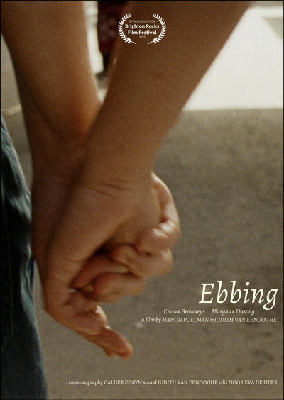 Póster de Ebbing