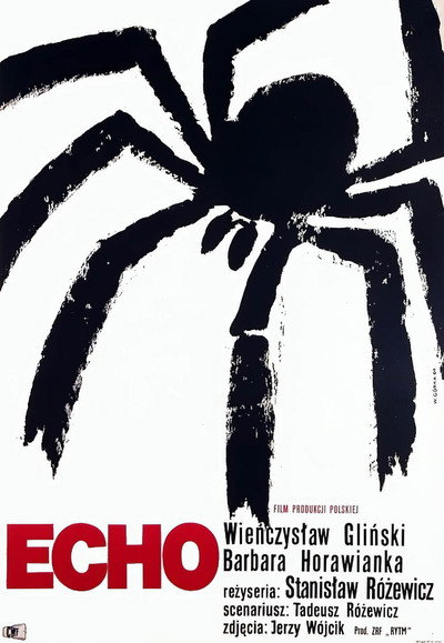 Póster de Echo