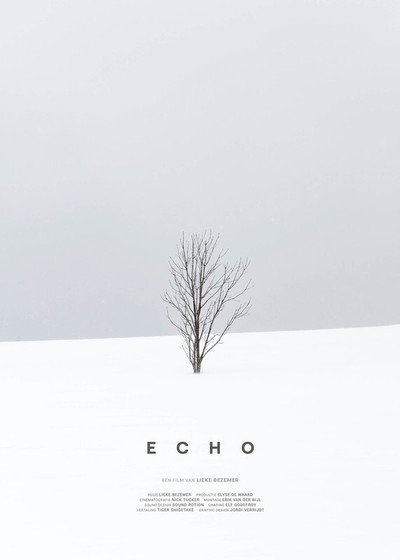 Póster de Echo