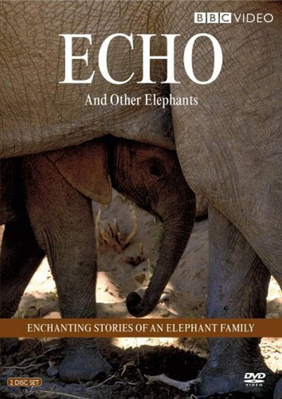 Póster de Echo of the Elephants