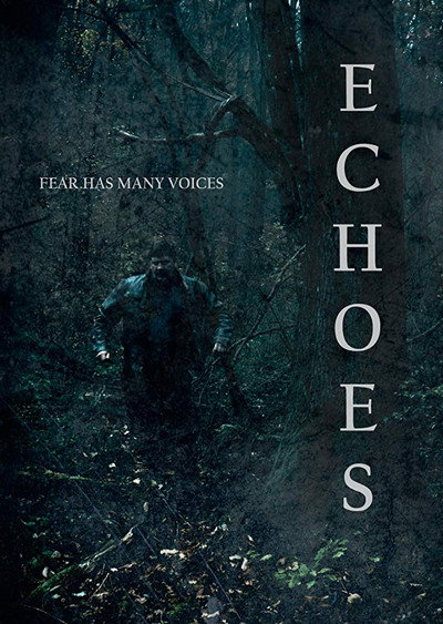 Póster de Echoes