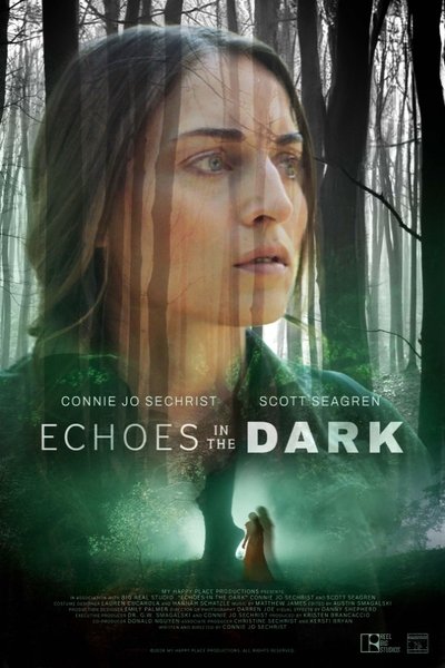 Póster de Echoes in the Dark