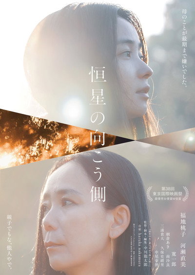 Póster de Echoes of Motherhood