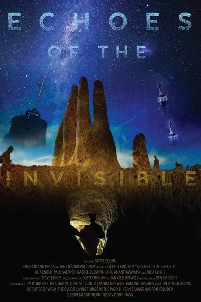 Póster de Echoes of the Invisible