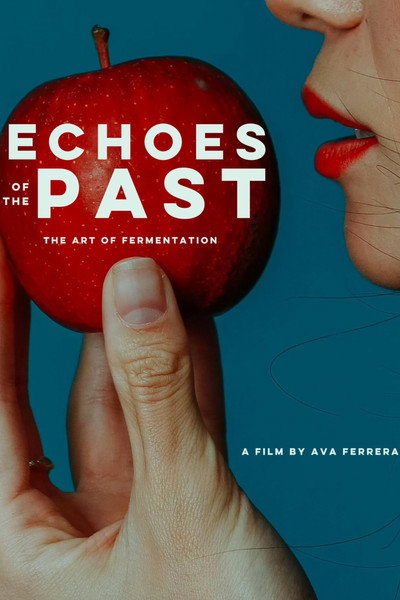 Póster de Echoes of the Past