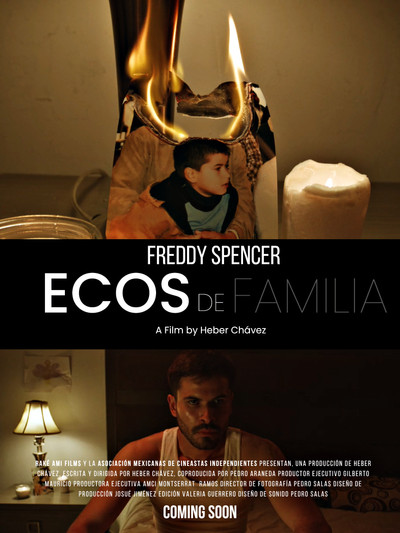 Póster de Ecos de familia