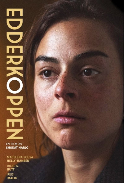 Póster de Edderkoppen