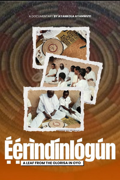 Póster de Eerindinlogun