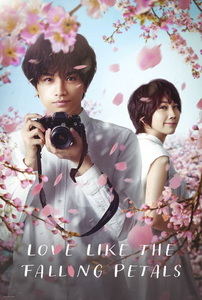 Póster de Efímera como la sakura