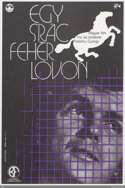 Póster de Egy srác fehér lovon