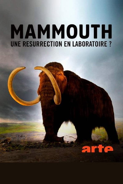 Póster de Ein Mammut-Projekt - Wiedergeburt ausgestorbener Arten