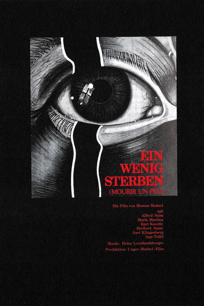 Póster de Ein wenig sterben