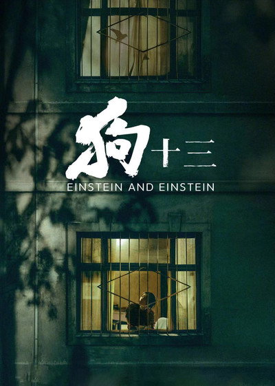 Póster de Einstein and Einstein