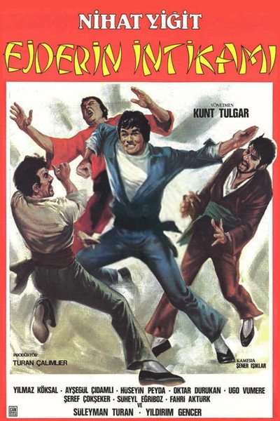 Póster de Ejderin Intikami
