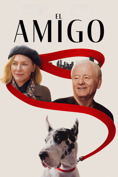 Póster de El amigo
