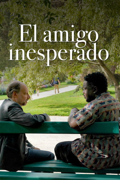 Póster de El amigo inesperado