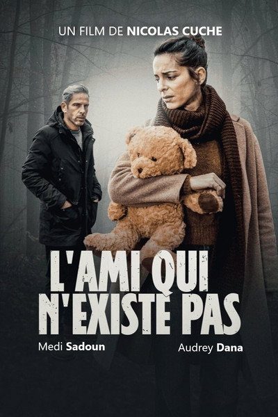 Póster de El amigo inexistente