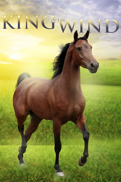 Póster de El amo del viento