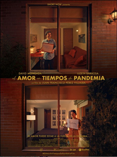 Póster de El Amor en Tiempos de Pandemia