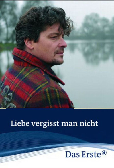 Póster de El amor no se olvida