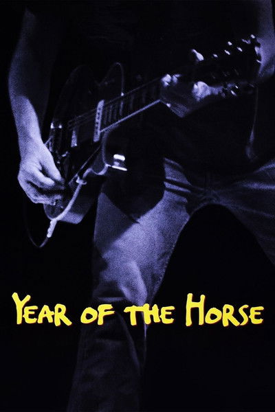 Póster de El año del caballo