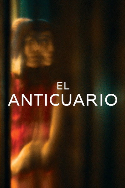 Póster de El anticuario