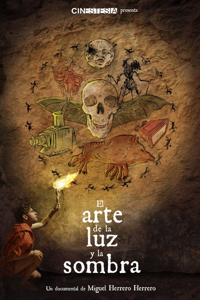 Póster de El arte de la luz y la sombra
