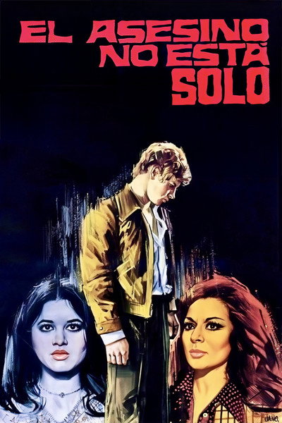 Póster de El asesino no está solo