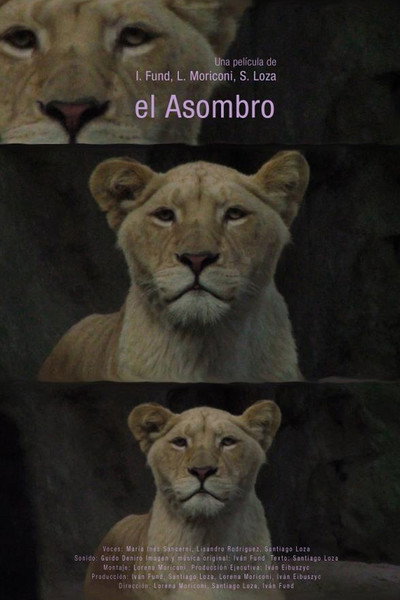 Póster de El asombro