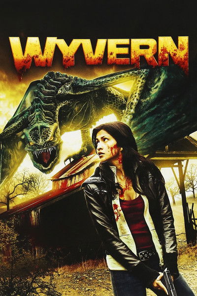 Póster de El ataque del dragón