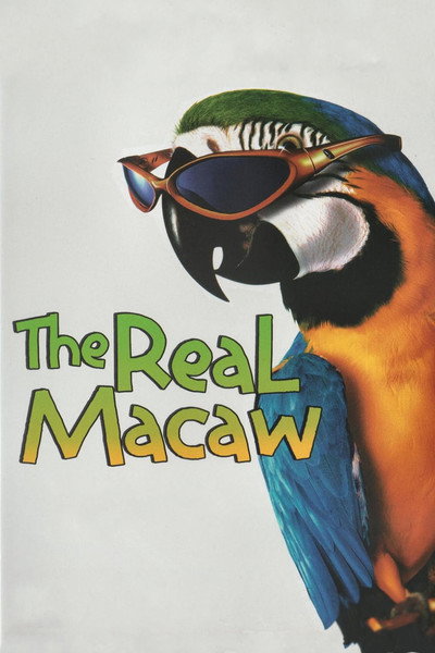 Póster de El auténtico Macaw