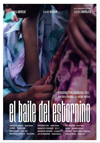Póster de El baile del estornino