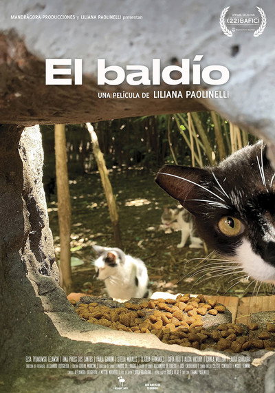 Póster de El Baldío